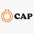 Chemical and Allied Products PLC