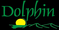 Dolphin Tours And Safaris Ltd.