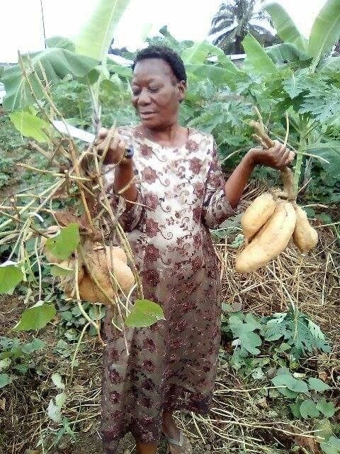 Tchivoul Agro