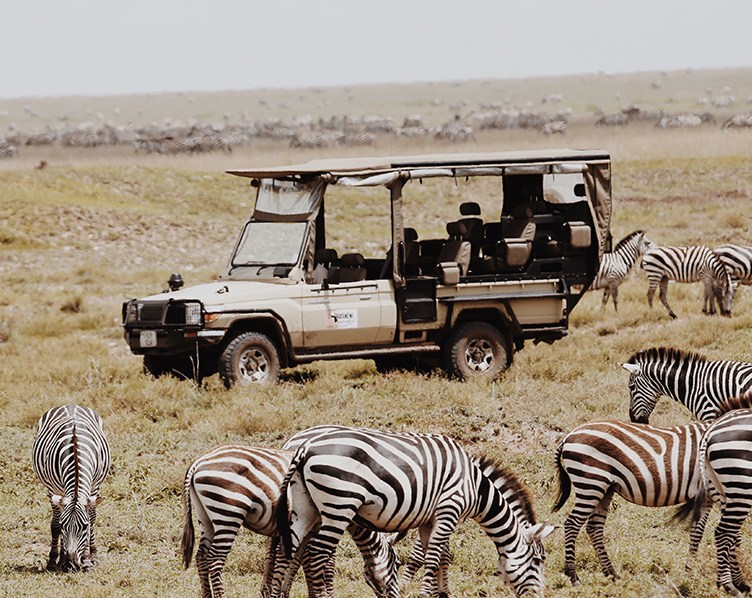 Continental Tours and Travel